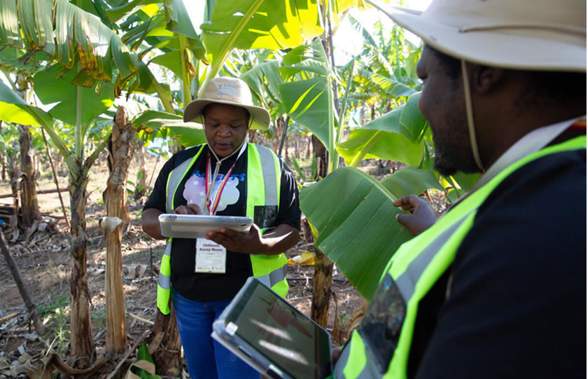 Afrique Agro field team working with farmers