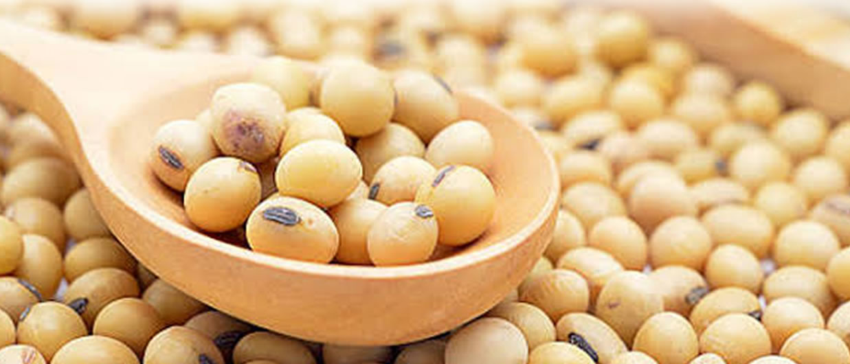 Soybeans